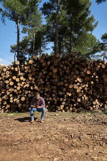 Holzfäller, der vor einem Baumstamm sitzt und sein Smartphone benutzt, in der Holzindustrie - VEGF04592