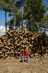 Holzfäller vor Baumstämmen in der Holzindustrie sitzend - VEGF04595