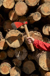 Lumber jack holding axe in front of logs at lumber industry - VEGF04598