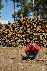 Trauriger männlicher Holzfäller hält sich den Kopf, während er an einem sonnigen Tag im Wald hockt - VEGF04599