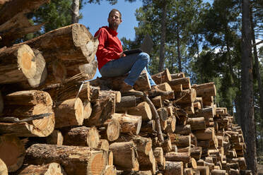 Mid adult man with laptop looking away while sitting on tree trunks at lumber industry - VEGF04605
