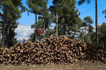 Männlicher Holzfäller, der auf Baumstämmen im Wald läuft - VEGF04606