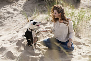 Frau Händeschütteln mit Jack Russell Terrior auf Sandstrand während sonnigen Tag - SBOF03866