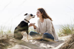 Jack Russell Terrior dog doing handshake with woman on sand at beach during sunny day - SBOF03867
