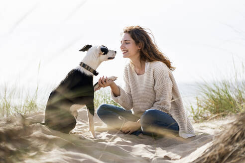 Jack Russell Terrior Hund macht Handshake mit Frau auf Sand am Strand während des sonnigen Tages - SBOF03867