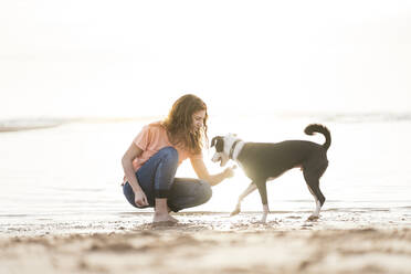 Frau streichelt Hund am Strand an einem sonnigen Tag - SBOF03905