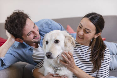 Smiling couple stroking dog in living room at home - EIF01113