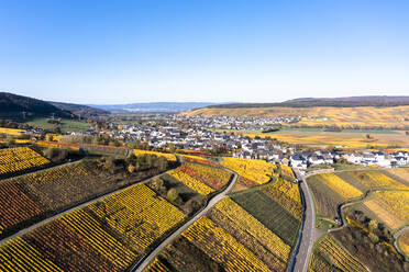 Deutschland, Rheinland-Pfalz, Blick aus dem Hubschrauber auf ein Dorf auf dem Land und die umliegenden Weinberge im Herbst - AMF09187