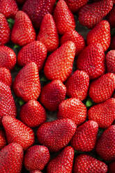 Full frame of fresh ripe strawberries - GIOF12726