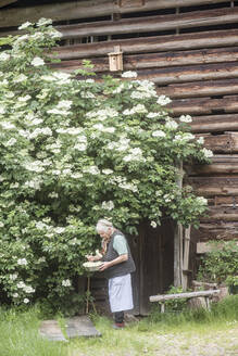 Ältere Bäuerin pflückt Blumen im Vorgarten - HHF05607