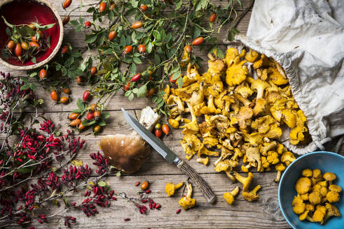 Rose hips, barberries, single porcini mushroom, kitchen knife and sack of chantarelles - HHF05613