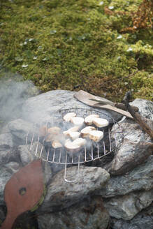 Bread grilling on stone campfire - HHF05627