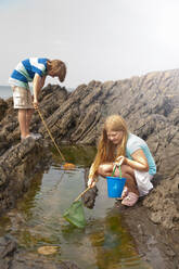 Friends fishing with nets at tidal pool - AJOF01415