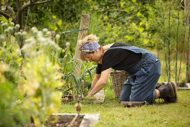 Woman tending to plants in summer vegetable garden - CAIF30592