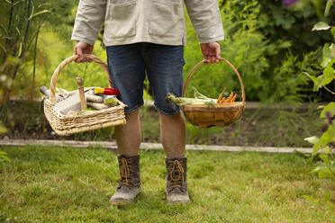 Man with baskets harvesting vegetables in garden - CAIF30595