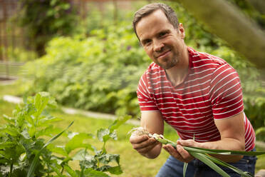 Portrait proud man harvesting fresh green onions in garden - CAIF30598