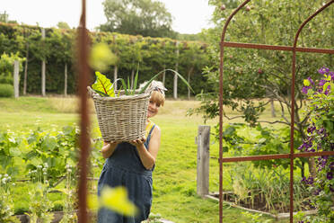 Portrait happy woman carrying basket of harvested vegetables in garden - CAIF30607