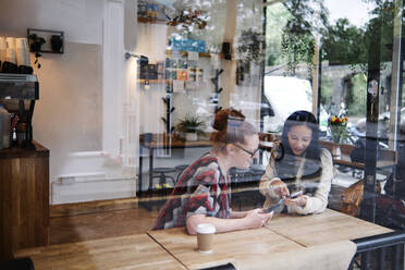 Female friends sharing smart phone at coffee shop - ASGF00414