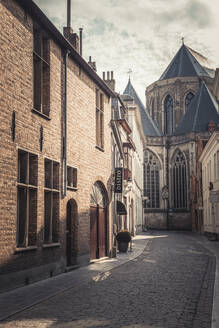 Belgium, West Flanders, Bruges, Cobblestone alley with Saint Salvators Cathedral in background - ANHF00209