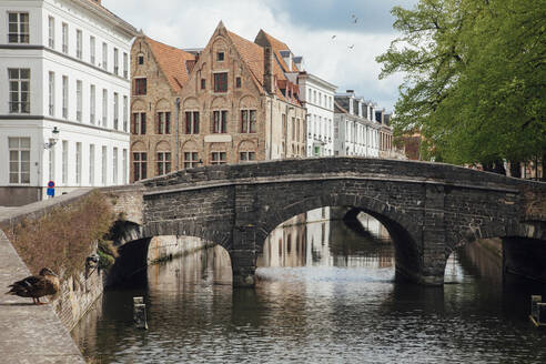 Belgium, West Flanders, Bruges, Augustijnenbrug arching over Augustijnenrei canal - ANHF00211