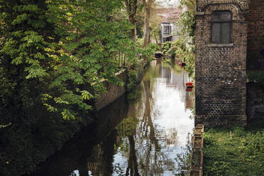 Belgium, West Flanders, Bruges, Surface of old town canal in spring - ANHF00218