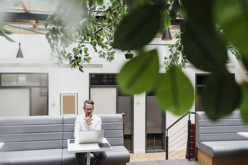 Älterer Geschäftsmann mit Hand am Kinn, der im Büro auf einen Laptop schaut - DIGF15771