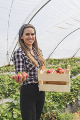 Smiling woman holding strawberries and crate in greenhouse - JRVF00913