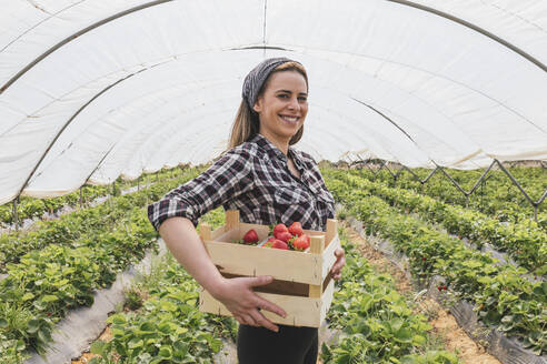 Lächelnde Bäuerin trägt Kiste mit Erdbeeren im Gewächshaus - JRVF00914