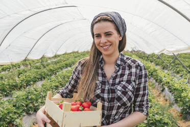 Female farmer holding strawberry crate at organic farm - JRVF00916