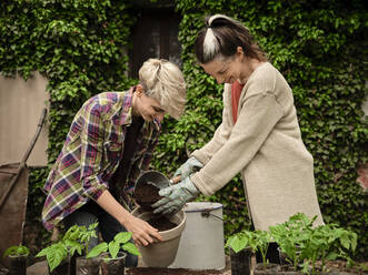 Smiling woman putting soil in flower pot held by female friend in backyard - NOF00237
