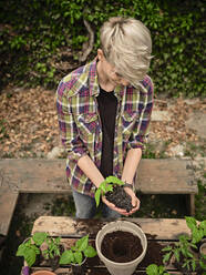 Frau mit kurzen Haaren pflanzt Paprikapflanze im Garten - NOF00238