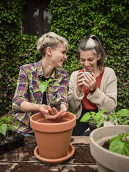Lächelnde Frau sieht ihre Freundin an, die Kaffee trinkt, während sie im Garten pflanzt - NOF00242