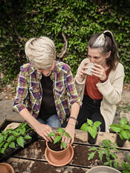 Frau trinkt Kaffee mit Freundin beim Pflanzen im Garten - NOF00243