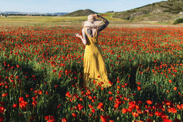 Mittlere erwachsene Frau, die an einem sonnigen Tag um eine Mohnblume auf einem Feld steht - MRRF01198