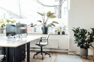 Pflanzen am Fenster und am Schreibtisch im Büro - GUSF06065
