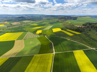 Aerial view of patchwork fields in summer - ELF02375