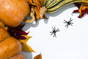 Halloween-Hintergrund mit verschiedenen Kürbissen, Herbstblättern und zwei Spinnen - FLMF00451