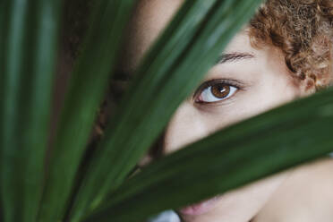 Young woman seen through leaves at home - EBBF03883