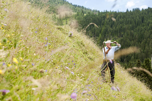 Älterer Bauer mit Sense auf steilem Hügel stehend, Bundesland Salzburg, Österreich - HHF05651