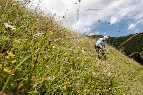 Älterer Landwirt mit Sense an einem steilen Hang im Bundesland Salzburg, Österreich - HHF05652