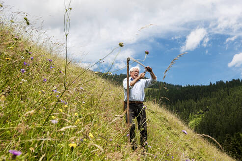 Älterer Bauer mit Sense auf einem steilen Hügel im Bundesland Salzburg, Österreich - HHF05653