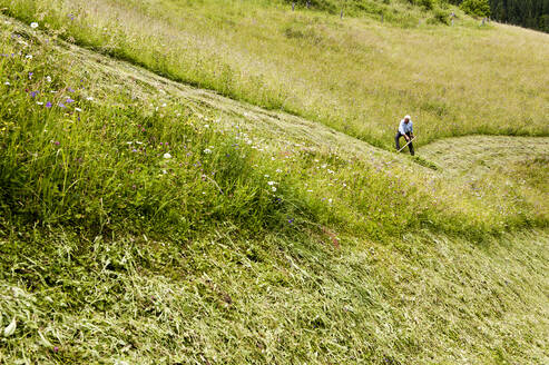 Männlicher Landwirt bei der Arbeit am Steilhang, Bundesland Salzburg, Österreich - HHF05654