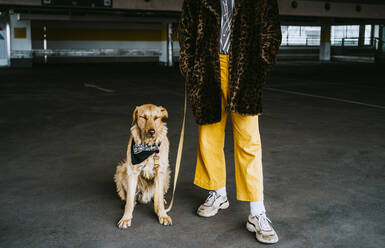 Low section of young man with dog standing in parking garage - MASF23884