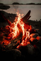Brennendes Feuerholz am Lagerfeuer bei Sonnenuntergang - MASF24295