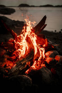 Burning firewood at campfire during sunset - MASF24295