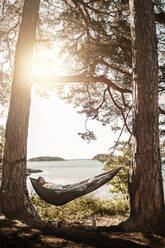 Man sleeping in hammock at lakeshore - MASF24305
