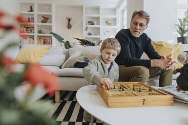 Vater und Sohn spielen Ludo im Wohnzimmer zu Hause - MFF07982