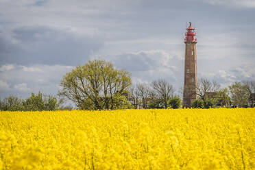 Flugge Lighthouse with oilseed rape field in foreground - KEBF01957