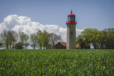 Grüne Wiese vor dem Staberhuk-Leuchtturm - KEBF01971