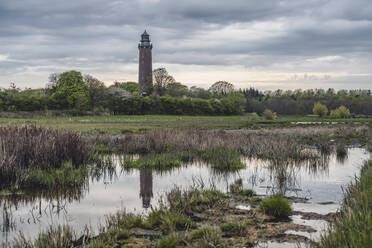 Grünes Feuchtgebiet in der Abenddämmerung mit dem Leuchtturm von Neuland im Hintergrund - KEBF01984